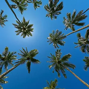 https://hy-beach-flats-fernando-pessoa.hotels-in-recife.com